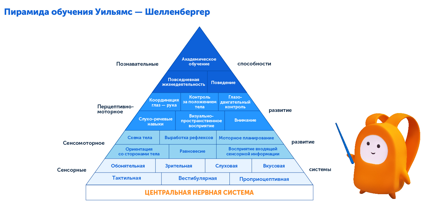 Воспитание ребёнка с СДВГ, подсказки для обучения и развития 
