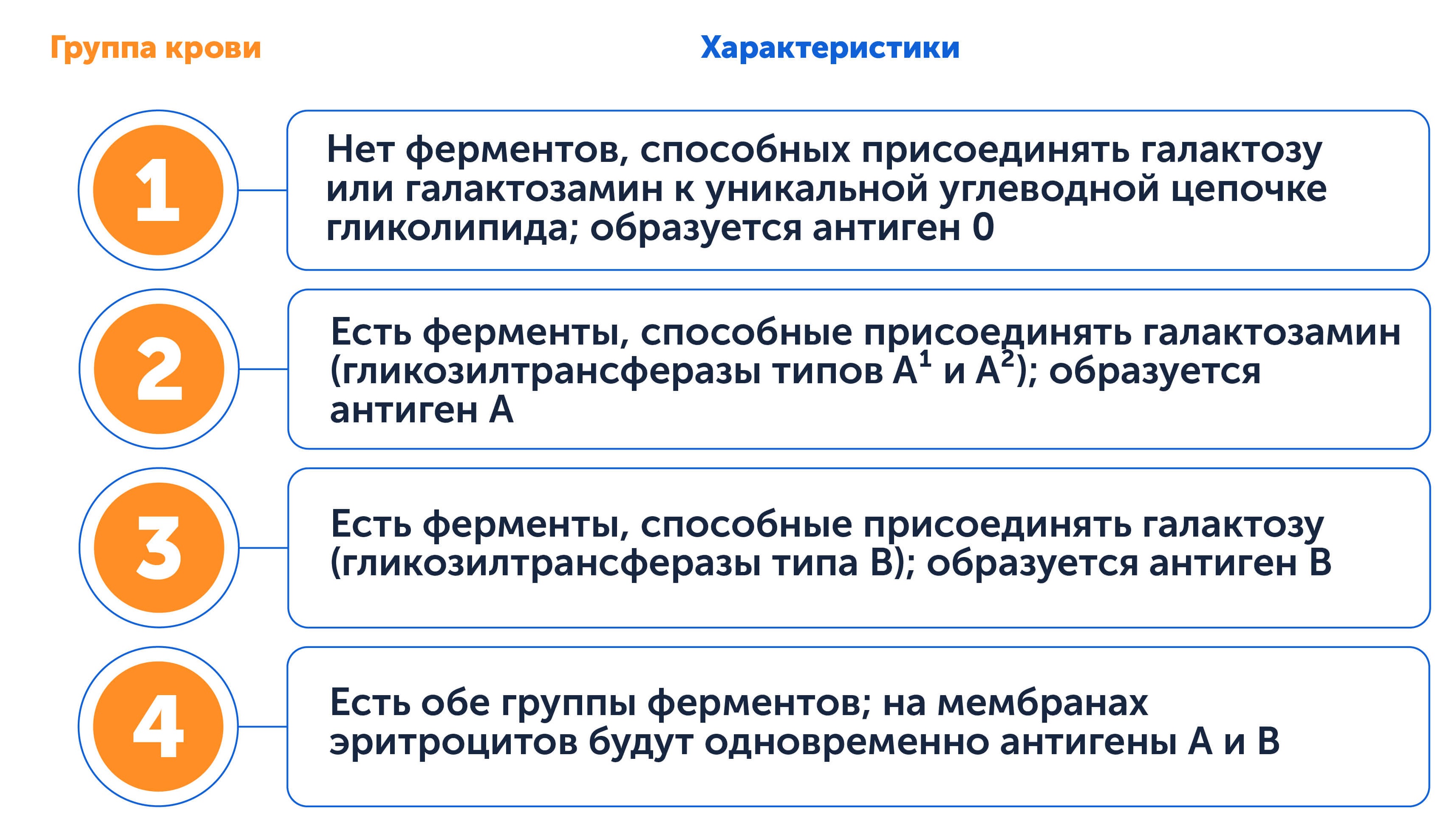 Группы крови человека, новейшие данные 