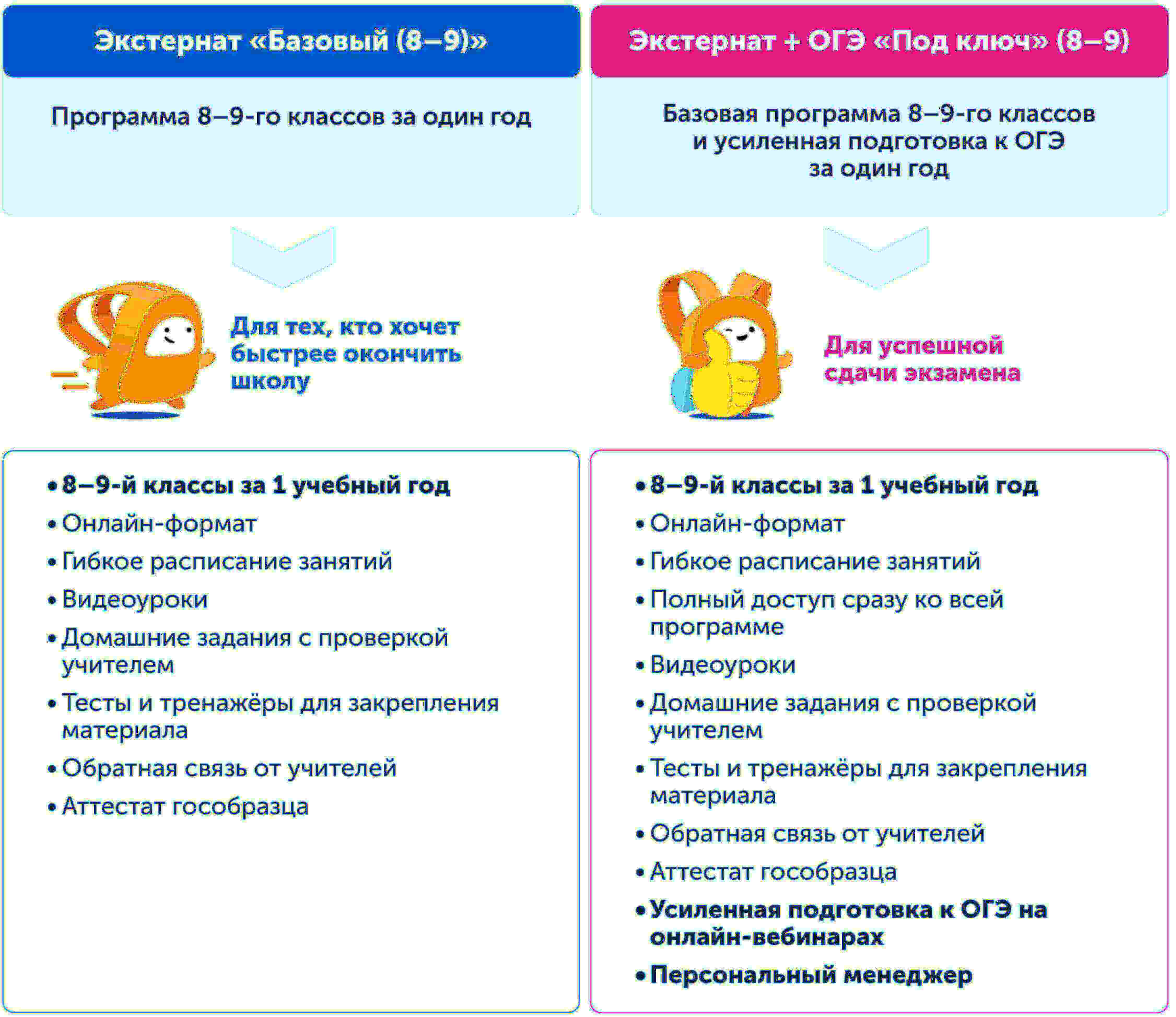 Экстернат | какие условия для учеников 8-9 класса 