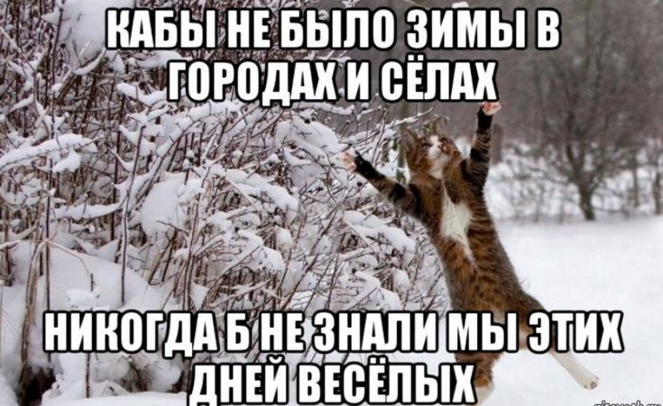 Нескучный активный отдых зимой 