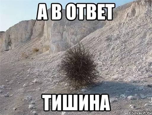 День тишины наступит во всех вузах в 2026 году — отправить согласие и заявление на поступление в эти даты не получится