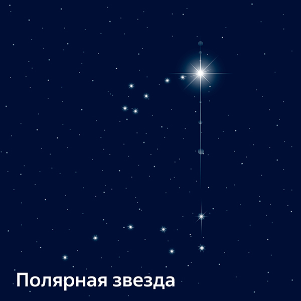 Полярная звезда